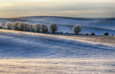 Fototapeta na wymiar Winter field