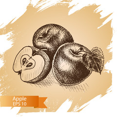 Vector illustration sketch - apple. Illustration - fruit.