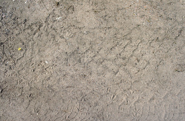 Traces of a car on the ground texture background