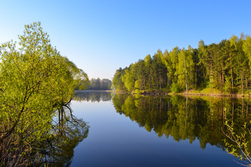 Forest is reflected in the calm blue water of the forest lake. Early morning.