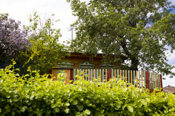 Wooden house wrapped scented summer plants