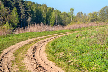 Fototapeta na wymiar Russian rural landscape with empty dirt road