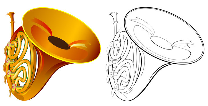 Colorful and black and white drawing of French horn. Worksheet for coloring.  Vector cartoon image.