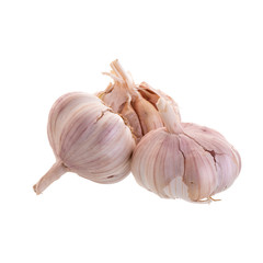 Garlic isolated on a white background