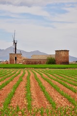 Fototapeta na wymiar Bauernhof mit Windmühle zwischen Sa Pobla und Muro
