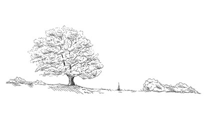 tree at landscape