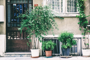 Exterior of the house, with flowers and plants in pots. Image with retro effect