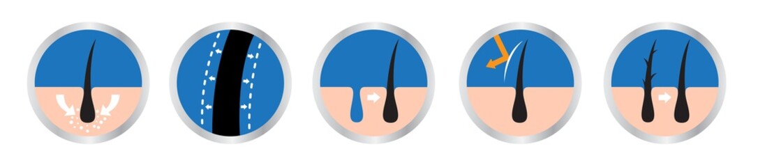 hair logo set vector , 9 icon / skin uv include