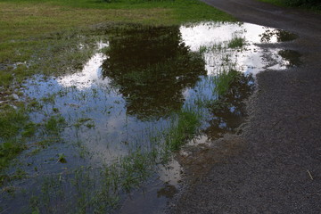 Pfütze nach einem Regenschauer