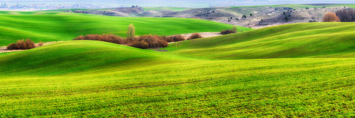 Obraz premium Green field