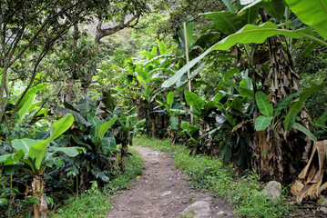 Cuzco Region Machu Pichu