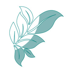 leaves icon over white background vector illustration