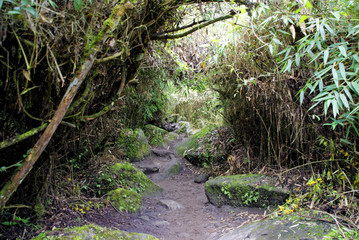 Cuzco Region Machu Pichu