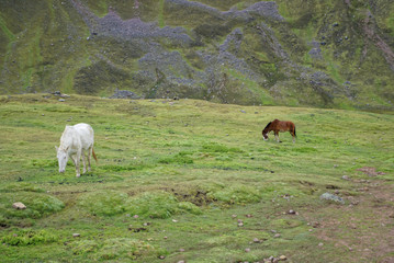 Fototapeta premium Rainbow Mountain