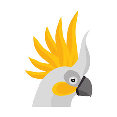 cockatoo bird icon over white background colorful design vector illustration