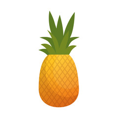 pineapple fruit icon over white background colorful design vector illustration