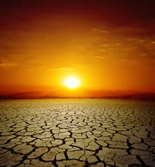 Deurstickers rode zonsondergang over droogteaarde. verandering van klimaat © Mykola Mazuryk
