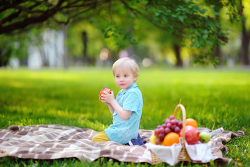 Beautiful little boy having a picnic in summer sunny park