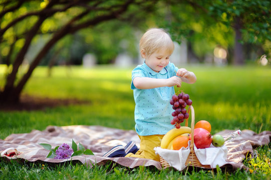 Beautiful little boy having a picnic in summer sunny park