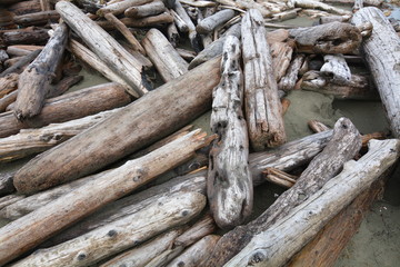 Driftwood on Tofino beach