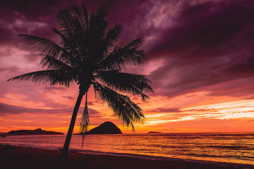 Red sunset and palm tree on tropical island