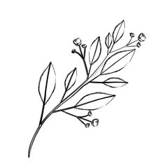monochrome blurred silhouette of branch with leaves and small flowers vector illustration