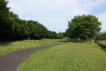 初夏の公園散歩