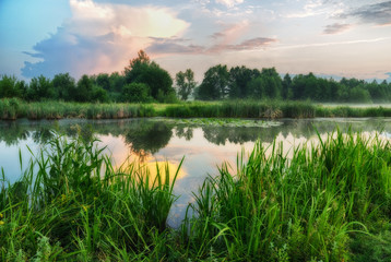 reflection. A quiet summer near the river