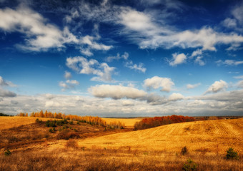 Fototapeta na wymiar Autumn field. Picturesque hilly field. A birch grove and a beautiful sky