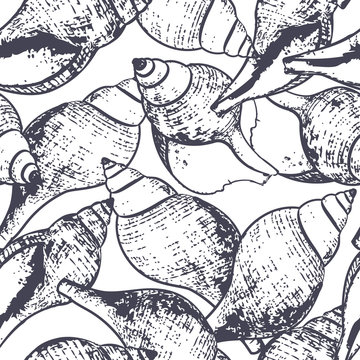 Vector seamless pattern with hand drawn outline spiral sea shells. Sketch style black and white background. Summer design for fabric and fashion textile print.