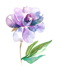 Naklejka premium Peony Flower. Watercolor Illustration.