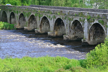 Fototapeta na wymiar The bridge at the village of Inistioge in Summertime. 