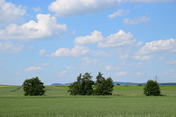Felder im Weserbergland