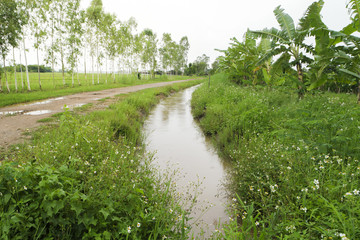 Ditch in the countryside.