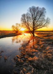 Spring morning. Beautiful dawn near a picturesque river. Colorful foggy dawn