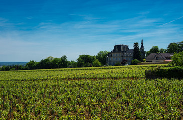Fototapeta na wymiar F, Burgund, Côte d'Or, Weinlagen bei Gevrey-Chambertin, Blick auf Château Brochon