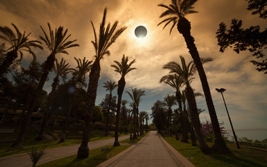 Total solar eclipse, palm avenue in resort city