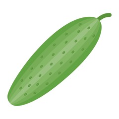 Cucumber flat icon, vegetable and diet, vector graphics, a colorful solid pattern on a white background, eps 10.