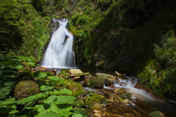 Obraz premium Allerheiligen Waterfalls I