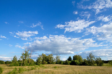 Fototapeta na wymiar Meadow and sky