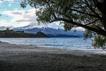 New Zealand Special Common View