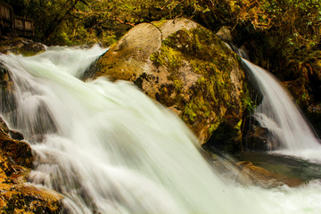 Waterfall Portrait