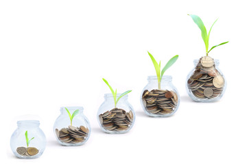 coins in glass and treetop growing, business and finance concept.