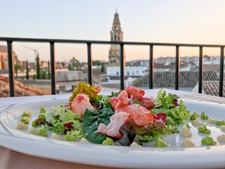 Dinner with a view of Cordoba, Spain