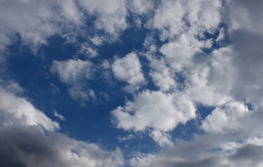 Fototapeta na wymiar 青空と雲（クラウド、ネットワーク、点在などのイメージ）
