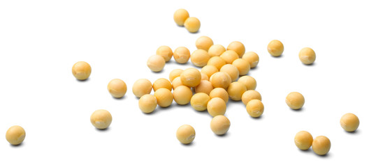 uncooked soybeans on white, (large depth of field, taken with tilt shift lens)