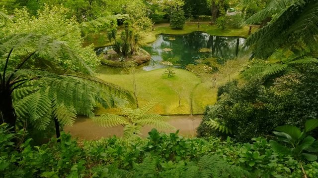 Tilting shot of the Parque Terra Nostra park in the island of Sao Miguel, The Azores, Portugal. The archipelago of the Azores is one of the hidden gem holiday destinations in Europe.