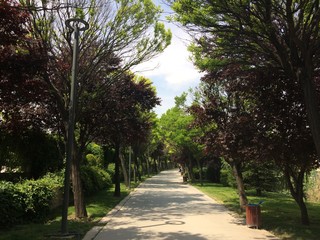 park