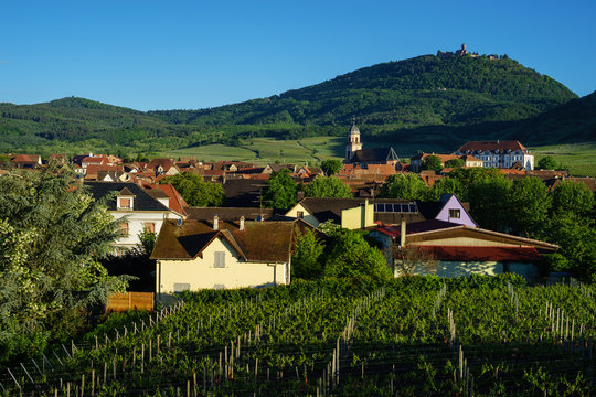 F, Elsa&szlig;, Saint-Hippolyte, Blick auf Kirche, Schlo&szlig; und die Burg Hochk&ouml;nigsburg (Haut Koenigsbourg)