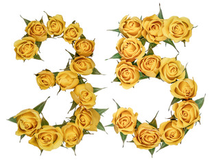 Arabic numeral 35, thirty five, from yellow flowers of rose, isolated on white background